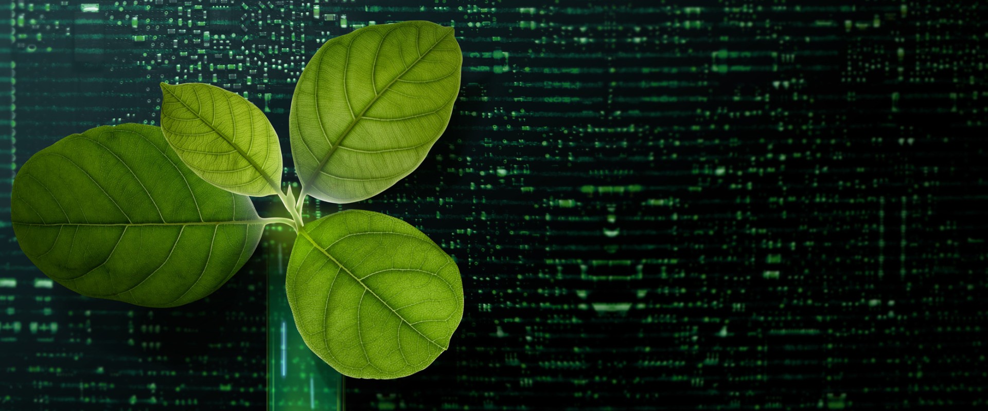 ESG Brand Marketing and Advertising Agencies: What It Takes to Build Purpose-Led, Impact-Driven Brands