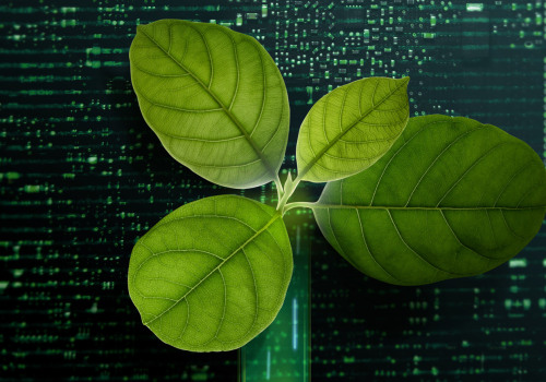 ESG Brand Marketing and Advertising Agencies: What It Takes to Build Purpose-Led, Impact-Driven Brands